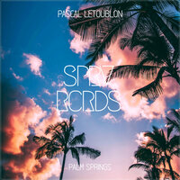 постер песни Pascal Letoublon - Palm Springs