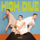 постер песни SHAED - Wish We Had Longer