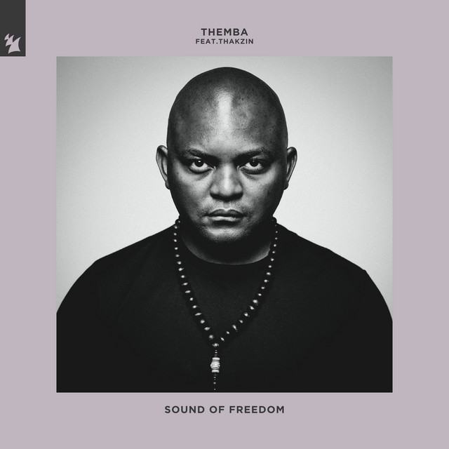 постер песни THEMBA - Sound Of Freedom