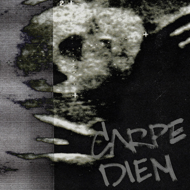 постер песни STED.D - CARPE DIEM