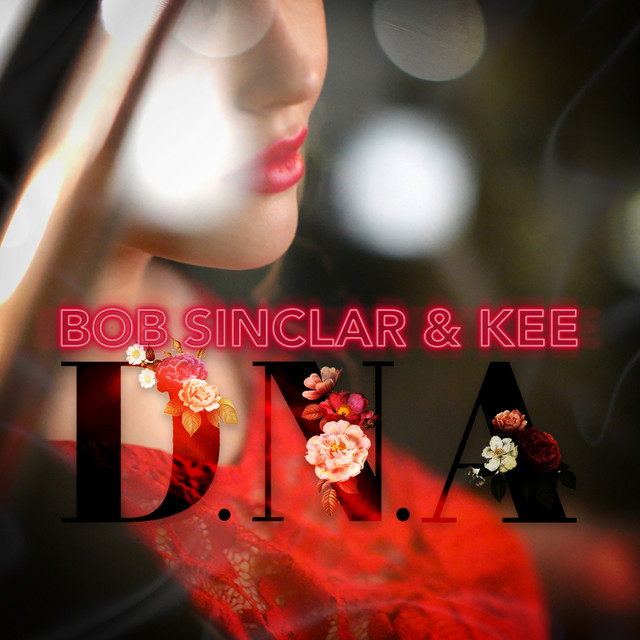 постер песни Bob Sinclar, Kee - D.N.A