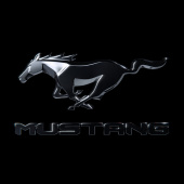 постер песни NXN - Mustang