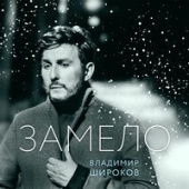 постер песни Владимир Широков - Замело