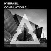 постер песни Hybrasil - Ams Neve