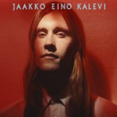 постер песни Jaakko Eino Kalevi - The Search