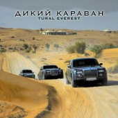 постер песни Tural Everest - В багажнике кальян