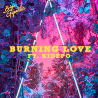 постер песни Big Gigantic feat. Kidepo - Burning Love