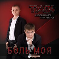 постер песни ТУ-134 - Моя Любовь