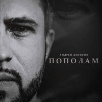 постер песни Андрей Денисов - Пополам