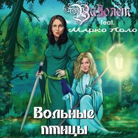 постер песни Сториз - Вольные Птицы