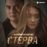 постер песни Валерий Милютин - Стерва