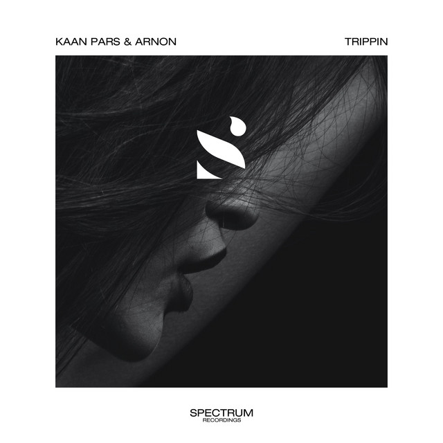 постер песни Kaan Pars - Trippin