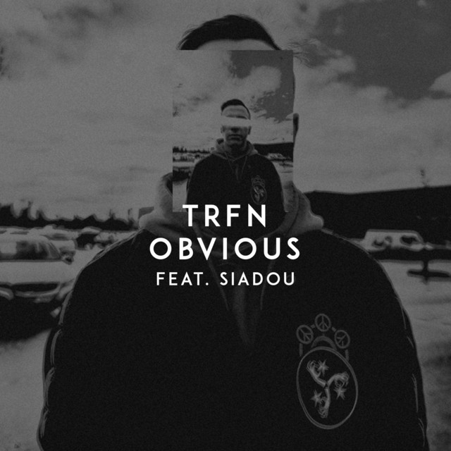 постер песни Trfn - Obvious