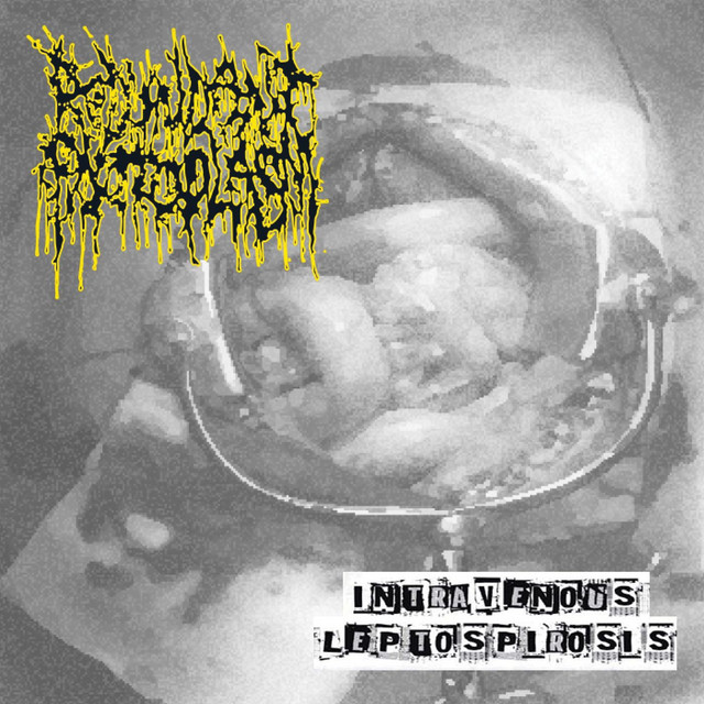 постер песни Redundant Protoplasm - Intravenous Leptosporosis