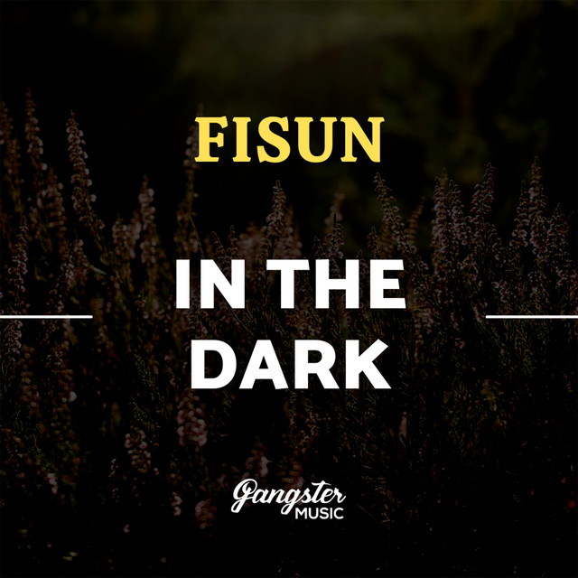 постер песни Fisun - In the Dark