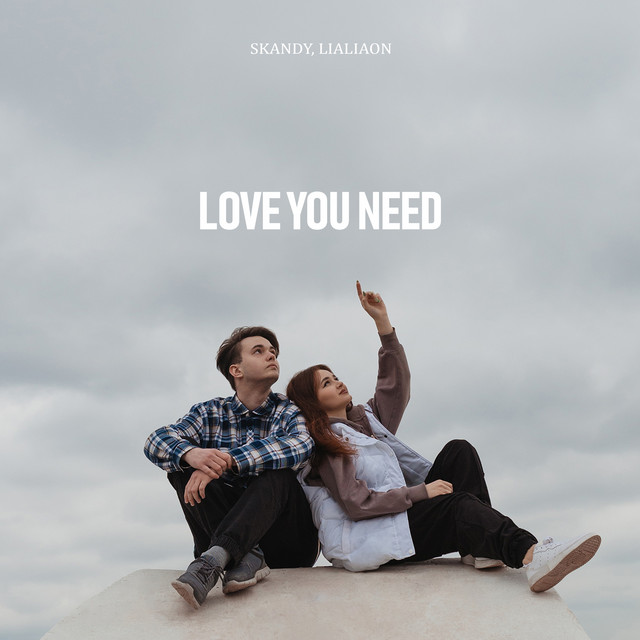 постер песни SKANDY, Lialiaon - Love You Need