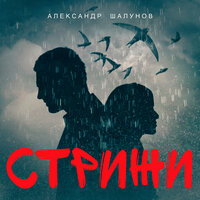 постер песни Александр Шалунов - Стрижи