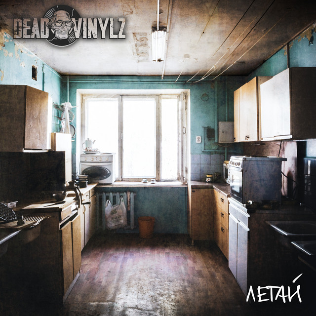 постер песни DEAD VINYLZ - Летай