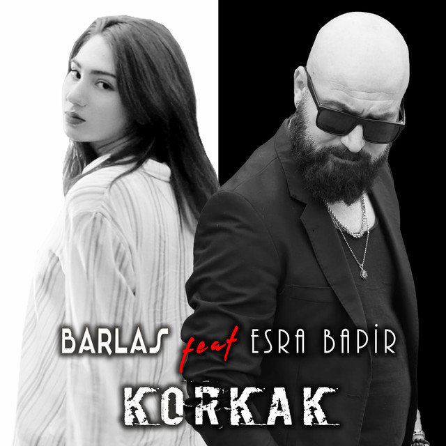 постер песни Barlas - Korkak