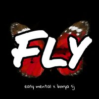 постер песни easy mental - fly