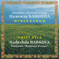 постер песни Русский хор - Шумел камыш, деревья гнулись