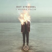 постер песни Roy Stroebel - I Wanna Know