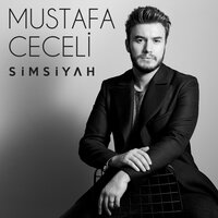 постер песни Cinare Melikzade, Mustafa Ceceli - Vurulmuşum bir yara