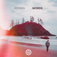 постер песни Roydig - Words