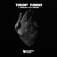 постер песни T Garcia feat. DJ Assad - Trop Tard