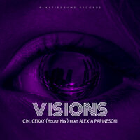 постер песни Cin - Visions