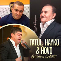 постер песни HOVO - Nerir