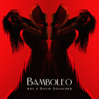 постер песни WRS feat. David Goldcher - Bamboleo