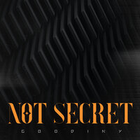 постер песни Goodiny - Not Secret (Mix)