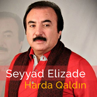 постер песни Seyyad Elizade - Beyaz Geceler