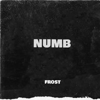 постер песни Frost - Numb