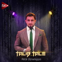 постер песни Talıb Tale, Zeynəb Həsəni - Necə Darıxmışam