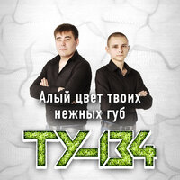 постер песни ТУ134 - Алый Цвет Твоих Нежных Губ