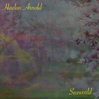 постер песни Haelon Arnold - Seaworld (Extended Mix)