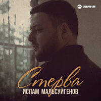 постер песни Ислам Мальсуйгенов - Стерва