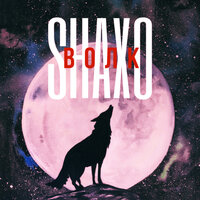 постер песни Shaxo - Волк