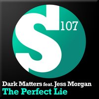 постер песни Dark Matters - The Perfect Lie