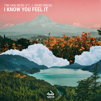 постер песни Tim Van Werd, J. Ward Brew - I Know You Feel It