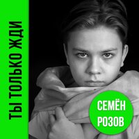 постер песни Семён Розов - Ты только жди